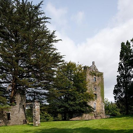 Dripsey Castle Estate Villa Cork Exterior foto