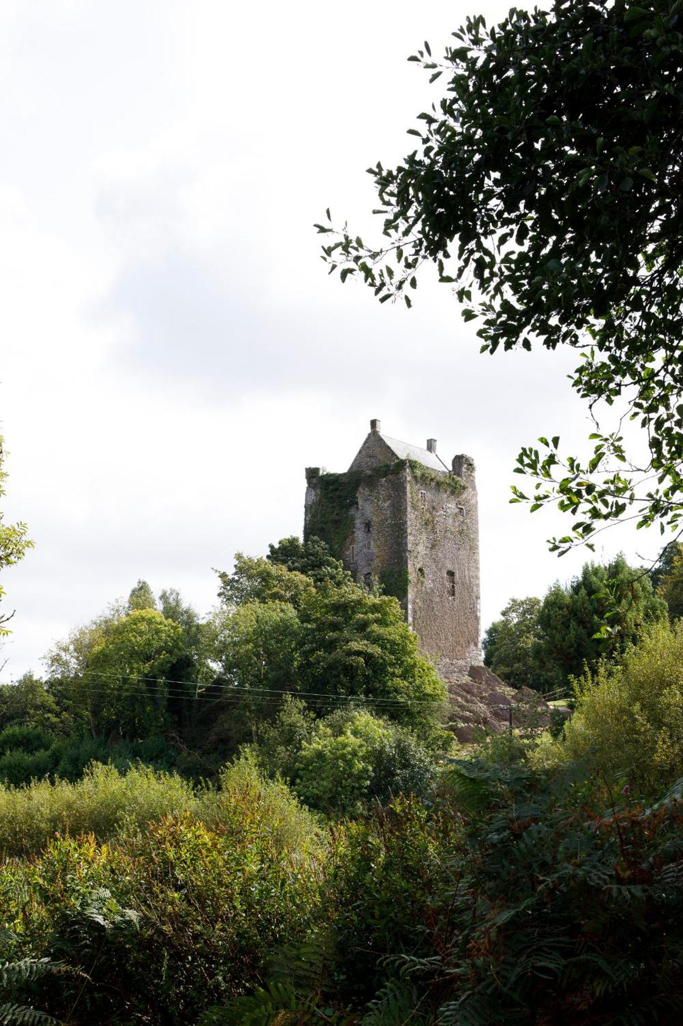 Dripsey Castle Estate Villa Cork Exterior foto