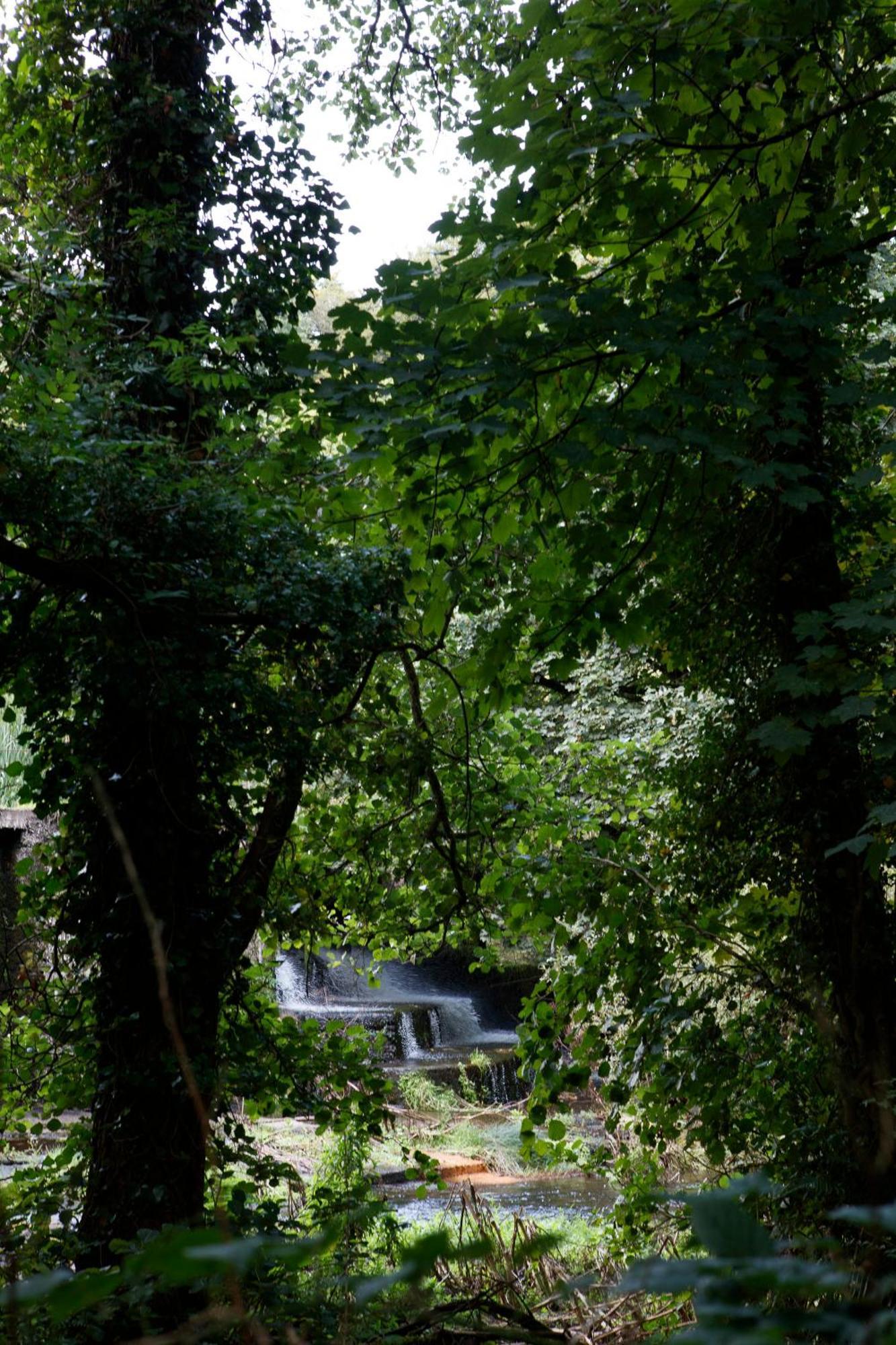 Dripsey Castle Estate Villa Cork Exterior foto