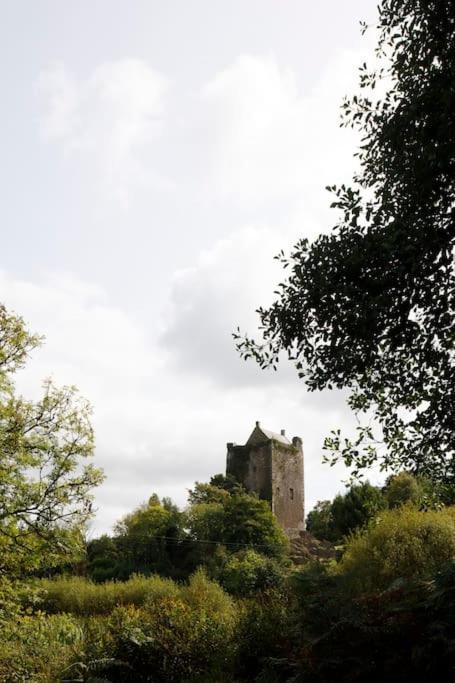 Dripsey Castle Estate Villa Cork Exterior foto